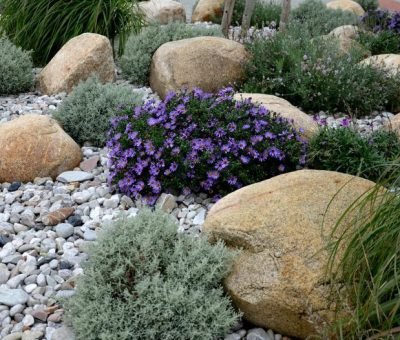 “أوت سين جلوبال — رواد تحويل المساحات الخارجية إلى جنان طبيعية تعانق الجمال وتُحيطك بالهدوء! نختص بتصميم وتنفيذ مشاريع تنسيق الحدائق والمناظر الطبيعية التي تجمع بين الفن والوظيفية والاستدامة، لنمنحك بيئةً خارجية تُجدد روحك وتُعزز قيمة ممتلكاتك. سواء كنت ترغب في تصميم حديقة منزلية صغيرة، تنسيق مساحات خضراء للفيلات الفاخرة، أو إنشاء مشاريع ترفيهية كبيرة (كالمتنزهات والمنتجعات)، نوفر لك: تصاميم مبتكرة تُناسب ذوقك وطبيعة المساحة (حدائق عصرية، كلاسيكية، أو ذات طابع استوائي). اختيار نباتات طبيعية مُتناسبة مع المناخ المحلي وتحتاج حدًا أدنى من الصيانة. تركيب أنظمة ري ذكية وموفرة للمياه. إضاءة فنية تُبرز جمال الحديقة ليلًا. عناصر ديكور إبداعية (نوافير مائية، مسارات حجرية، جلسات خارجية مظللة). حلول مستدامة مثل استخدام الطاقة الشمسية ومواد صديقة للبيئة. باعتمادنا على فريق من مصممي المناظر الطبيعية والمهندسين الزراعيين، ننفذ مشروعك بخطوات مُحكمة: دراسة ميدانية لتحليل التربة والمساحة والمناخ. تصميم ثلاثي الأبعاد (3D) لرؤية الحديقة قبل التنفيذ. زراعة نباتات مُختارة بعناية مع ضمان تكيفها مع البيئة. تسليم المشروع مع دليل صيانة مُفصّل وخدمة متابعة دورية. لماذا نحن؟ خبرة في تحويل المساحات الصحراوية أو غير المستغلة إلى لوحات طبيعية خلابة. استخدام تقنيات حديثة مثل أنظمة الري بالتنقيط والتحكم الذكي عن بُعد. شراكات مع مشاتل عالمية لتوريد نباتات نادرة وعالية الجودة. مراعاة المعايير البيئية وحماية التنوع النباتي. أسعار تنافسية مع خيارات دفع مرنة. لا تترك مساحاتك الخارجية بلا حياة! اتصل بنا اليوم لتحصل على استشارة مجانية وتصميم حديقة تُعبّر عن شخصيتك وتُضفي سحرًا على كل لحظة تقضيها فيها. أوت سين جلوبال — حيثُ تصبح الطبيعةُ تحفةً تُلامس الروح! ملاحظات حول الوصف: التخصص: الربط بين الجماليات والاستدامة في تصميم المساحات الخضراء. تفصيل الخدمات: ذكر العناصر (نوافير، أنظمة ري ذكية) والتقنيات (تصميم 3D، أنظمة شمسية). القيمة المضافة: التركيز على النباتات المُتكيفة مع المناخ وخيارات الصيانة البسيطة. حلول مُبتكرة: إبراز القدرة على تحويل المساحات الصعبة إلى حدائق جذابة. لغة شاعرية: استخدام مصطلحات مثل “جنان طبيعية”، “تلامس الروح” لتعزيز الارتباط العاطفي بالمساحة. "أوت سين جلوبال — رواد تحويل المساحات الخارجية إلى جنان طبيعية تعانق الجمال وتُحيطك بالهدوء! نختص بتصميم وتنفيذ مشاريع تنسيق الحدائق والمناظر الطبيعية التي تجمع بين الفن والوظيفية والاستدامة، لنمنحك بيئةً خارجية تُجدد روحك وتُعزز قيمة ممتلكاتك. سواء كنت ترغب في تصميم حديقة منزلية صغيرة، تنسيق مساحات خضراء للفيلات الفاخرة، أو إنشاء مشاريع ترفيهية كبيرة (كالمتنزهات والمنتجعات)، نوفر لك: تصاميم مبتكرة تُناسب ذوقك وطبيعة المساحة (حدائق عصرية، كلاسيكية، أو ذات طابع استوائي). اختيار نباتات طبيعية مُتناسبة مع المناخ المحلي وتحتاج حدًا أدنى من الصيانة. تركيب أنظمة ري ذكية وموفرة للمياه. إضاءة فنية تُبرز جمال الحديقة ليلًا. عناصر ديكور إبداعية (نوافير مائية، مسارات حجرية، جلسات خارجية مظللة). حلول مستدامة مثل استخدام الطاقة الشمسية ومواد صديقة للبيئة. باعتمادنا على فريق من مصممي المناظر الطبيعية والمهندسين الزراعيين، ننفذ مشروعك بخطوات مُحكمة: دراسة ميدانية لتحليل التربة والمساحة والمناخ. تصميم ثلاثي الأبعاد (3D) لرؤية الحديقة قبل التنفيذ. زراعة نباتات مُختارة بعناية مع ضمان تكيفها مع البيئة. تسليم المشروع مع دليل صيانة مُفصّل وخدمة متابعة دورية. لماذا نحن؟ خبرة في تحويل المساحات الصحراوية أو غير المستغلة إلى لوحات طبيعية خلابة. استخدام تقنيات حديثة مثل أنظمة الري بالتنقيط والتحكم الذكي عن بُعد. شراكات مع مشاتل عالمية لتوريد نباتات نادرة وعالية الجودة. مراعاة المعايير البيئية وحماية التنوع النباتي. أسعار تنافسية مع خيارات دفع مرنة. لا تترك مساحاتك الخارجية بلا حياة! اتصل بنا اليوم لتحصل على استشارة مجانية وتصميم حديقة تُعبّر عن شخصيتك وتُضفي سحرًا على كل لحظة تقضيها فيها. أوت سين جلوبال — حيثُ تصبح الطبيعةُ تحفةً تُلامس الروح! ملاحظات حول الوصف: التخصص: الربط بين الجماليات والاستدامة في تصميم المساحات الخضراء. تفصيل الخدمات: ذكر العناصر (نوافير، أنظمة ري ذكية) والتقنيات (تصميم 3D، أنظمة شمسية). القيمة المضافة: التركيز على النباتات المُتكيفة مع المناخ وخيارات الصيانة البسيطة. حلول مُبتكرة: إبراز القدرة على تحويل المساحات الصعبة إلى حدائق جذابة. لغة شاعرية: استخدام مصطلحات مثل "جنان طبيعية"، "تلامس الروح" لتعزيز الارتباط العاطفي بالمساحة.